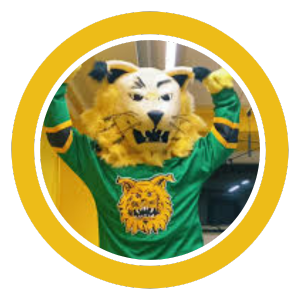 ipa ilves maskotti