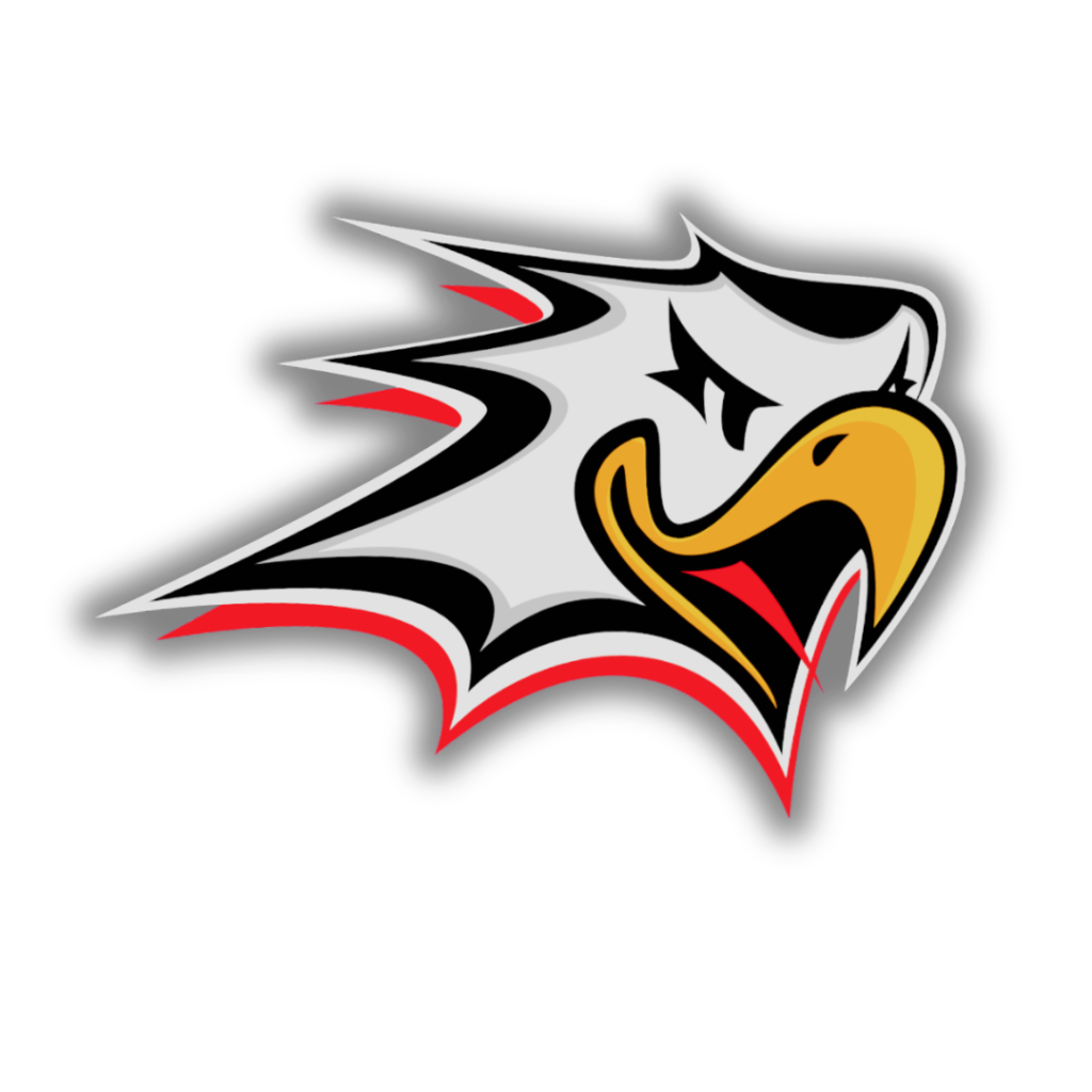 Sport Logo Iso Sm Liiga.com